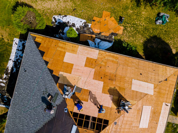 Best Metal Roofing Contractor  in Hales Corners, WI