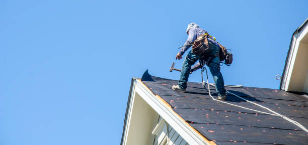 Best Roof Maintenance Services  in Hales Corners, WI